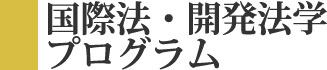 国際法・開発法学プログラム