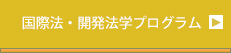 国際法・開発法学プログラム